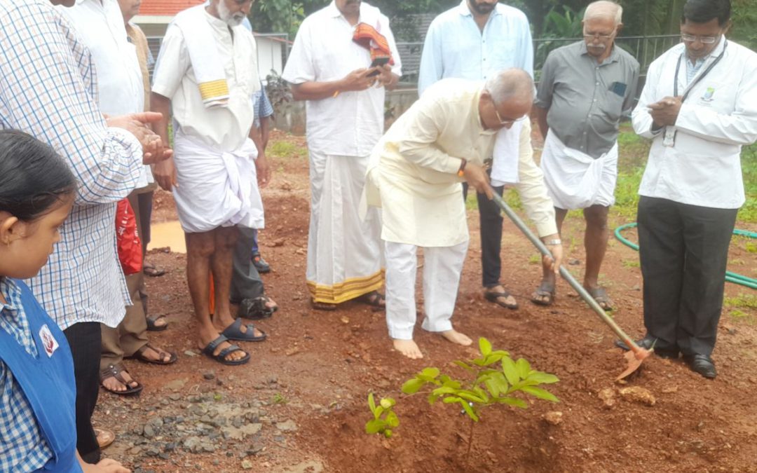 Tree plantation and Homeopathic Medical Camp conducted